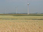 Champ de blé et éoliennes- (c) aeap