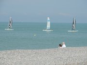 Plage de Cayeux sur Mer- (c) aeap